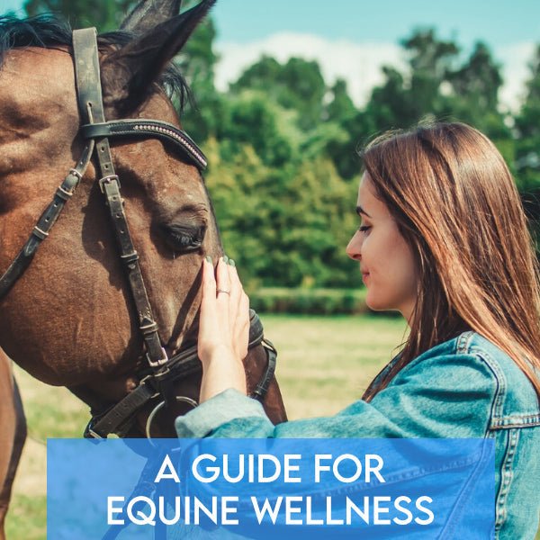A Guide for Equine Wellness - Pets Drug Mart