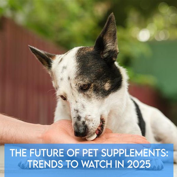 The Future of Pet Supplements: Trends to Watch in 2025 - Pets Drug Mart