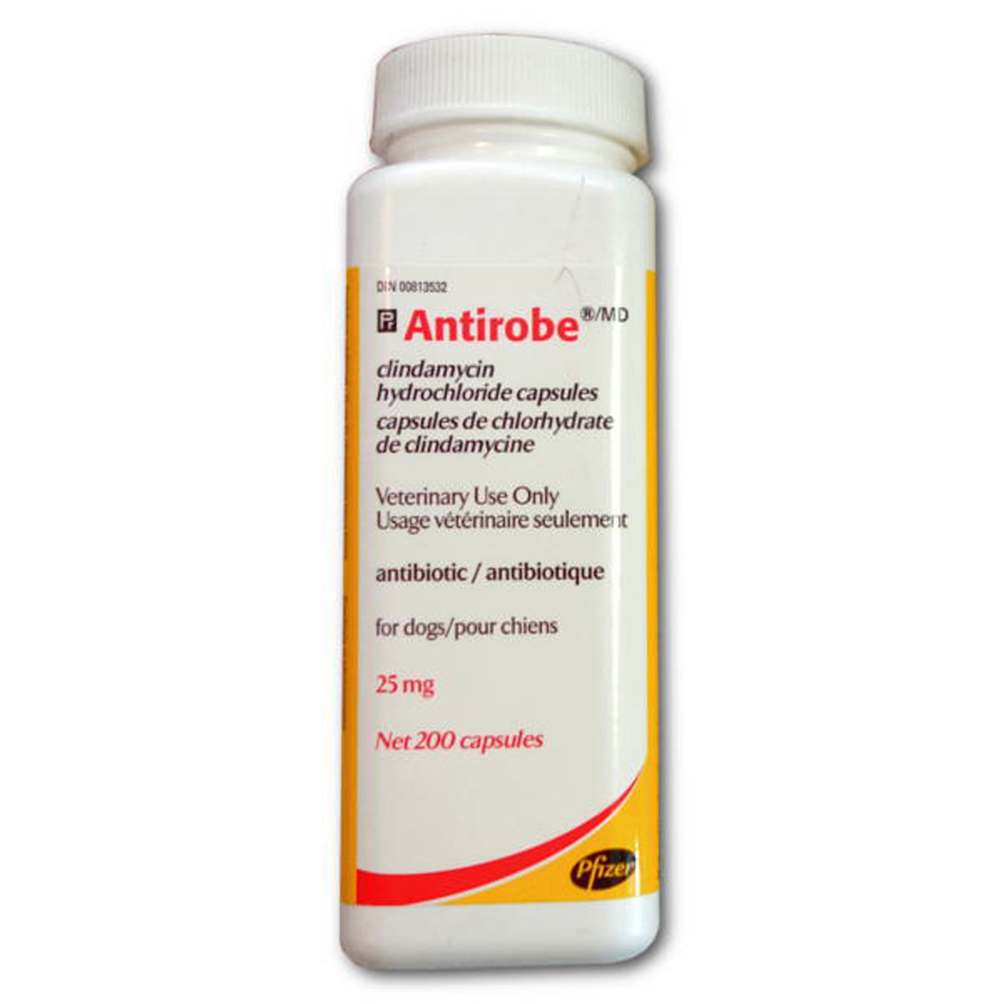 Antirobe (clindamycin) Capsule