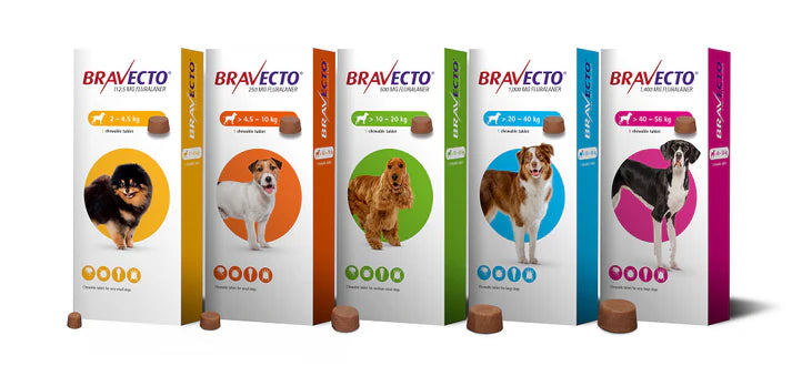 Bravecto Chews For Large Dogs 20.1 To 40 kg (Blue) - 1000 mg