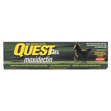 Quest Horse Dewormer Gel Syringe 20 mg/mL