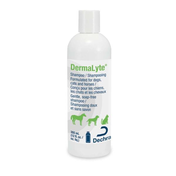 DermaLyte Shampoo - 355 mL