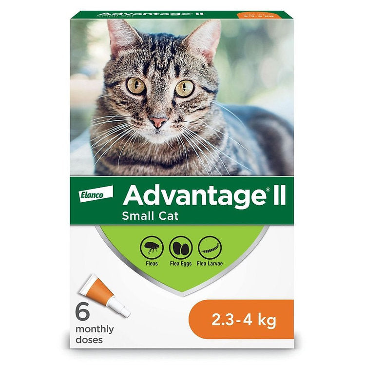 Advantage II Flea Treatment For Cats 2.3 To 4 Kg (Orange)