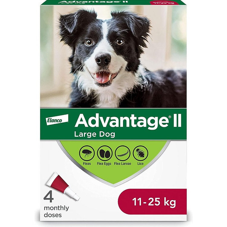 Advantage II Flea Treatment For Dogs 11 to 25 Kg (Red) - 6 Dose