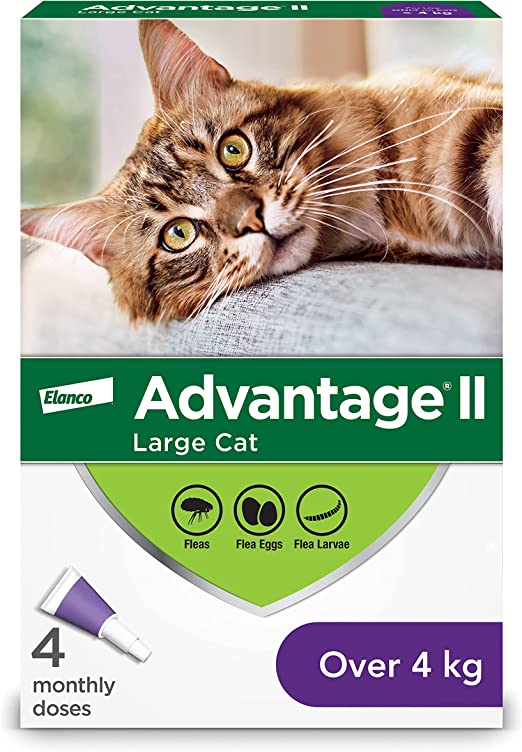 Advantage II Flea Protection For Cats Over 4 Kg (Purple) - 4 Dose