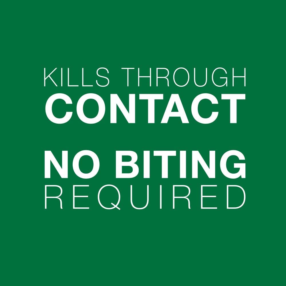 Advantage II Flea Protection For Cats Over 4 Kg (Purple) - 4 Dose