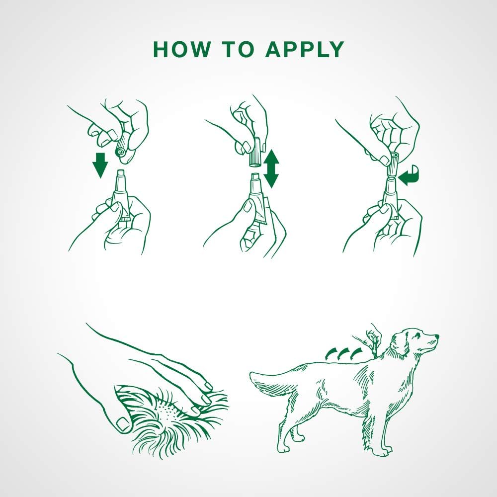 Advantage II Flea Treatment For Dogs 4.6 To 11 Kg (Teal)