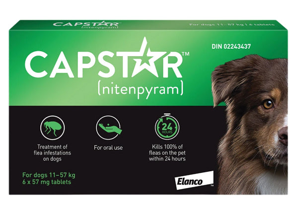 Capstar Anti-Flea Treatment for Dogs Over 11 Kg (Green)