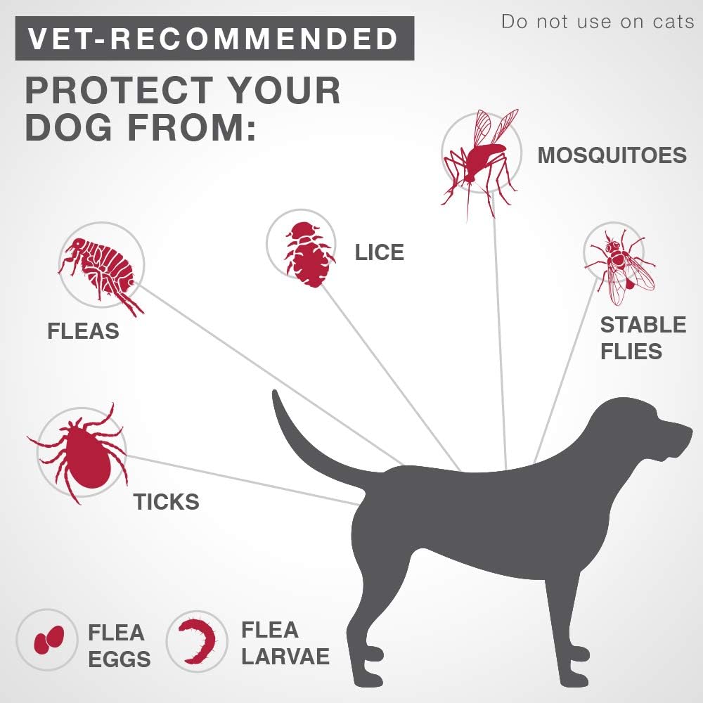K9 Advantix II Flea & Tick Protection for Dogs 11 to 25 Kg (Red)