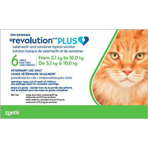 Revolution Plus For Cats & Kittens 5.1 To 10 Kg (Green) - 1 Dose