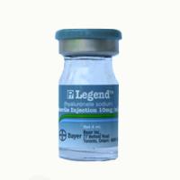 Legend Hyaluronic Acid Supplement 10 mg/mL
