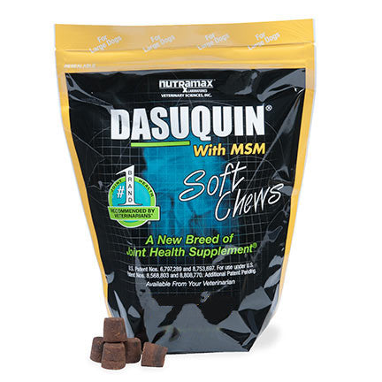 Dasuquin Soft Chews With MSM For Large Dogs - 150 Chews