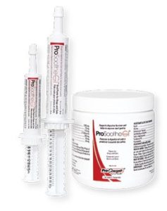 ProSoothe GI Paste For Dogs & Cats
