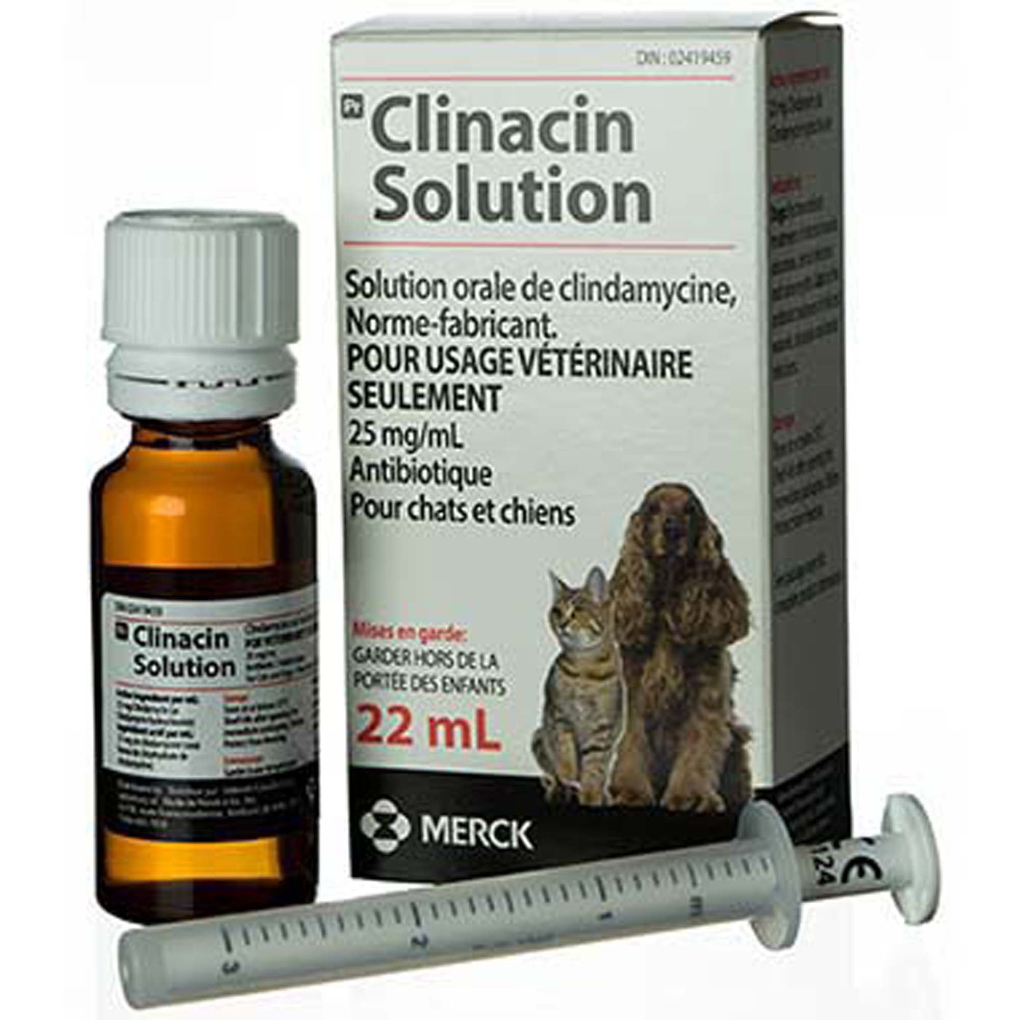 Clinacin (clindamycin) 25 mg/mL Oral Solution