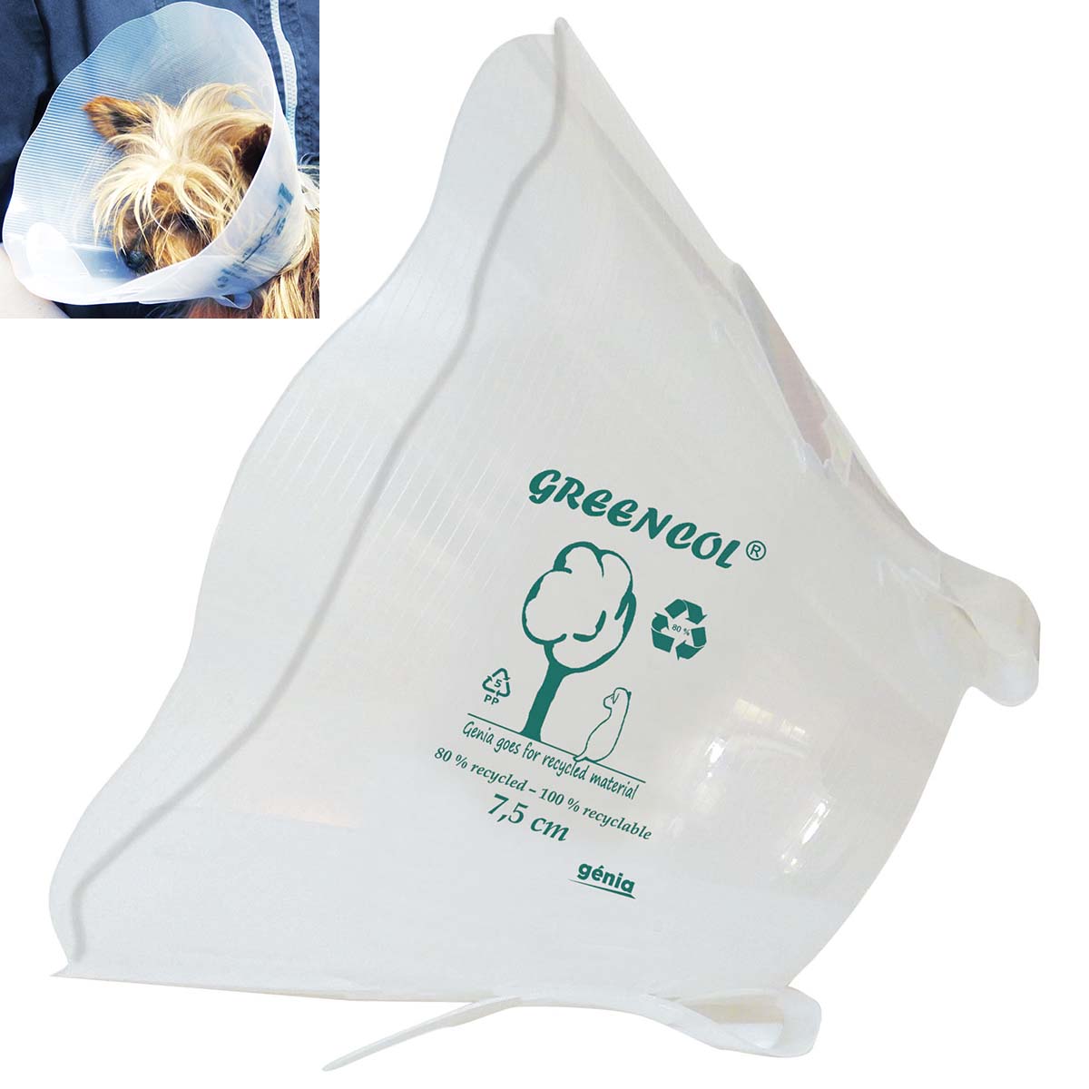 Greencol Transparent Recovery Collar Cone For Dogs