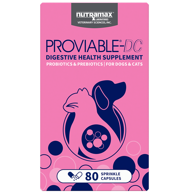 Nutramax Proviable-DC Digestive Health Supplement Capsules
