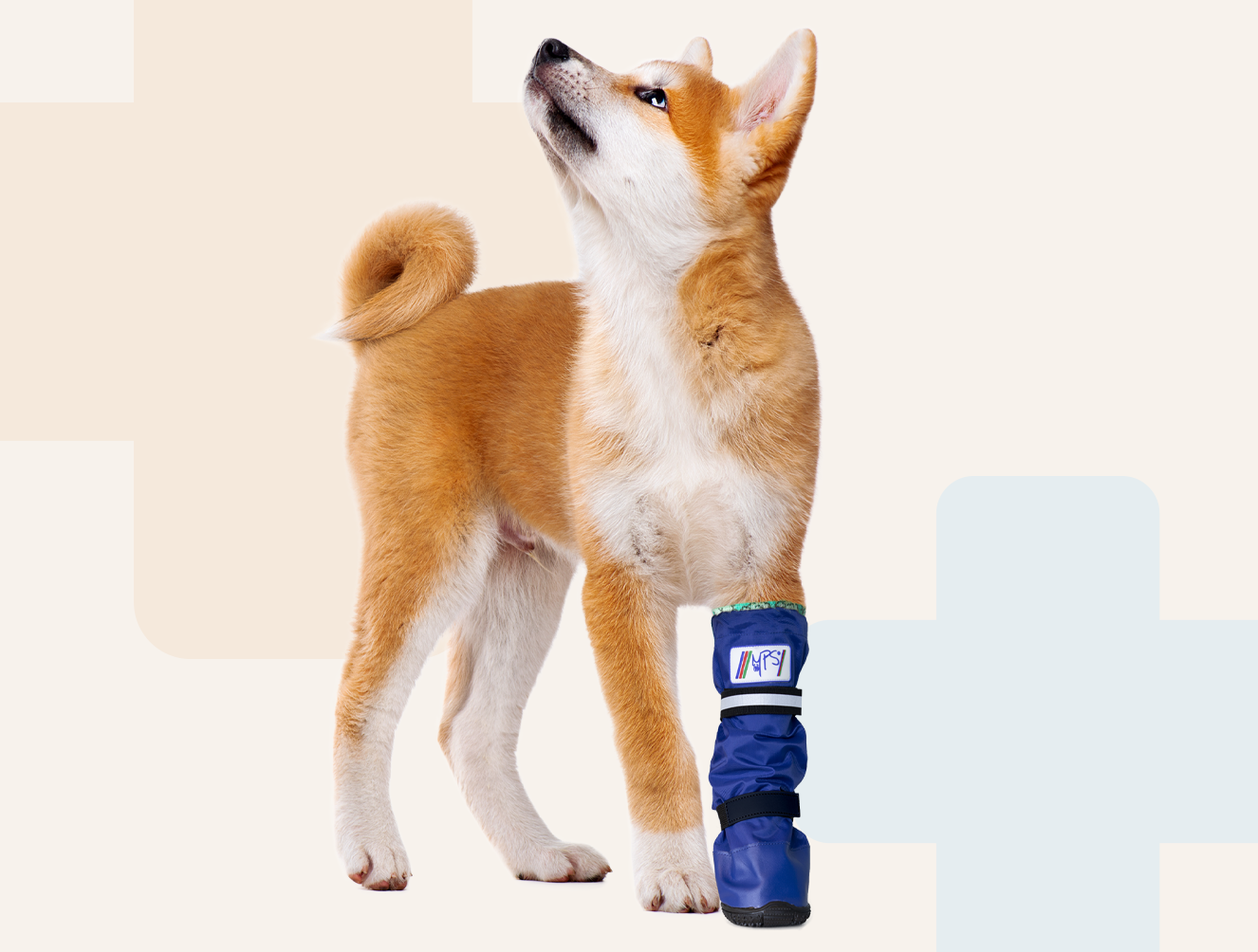 MPS Singular Blue Protection Boot for Dogs