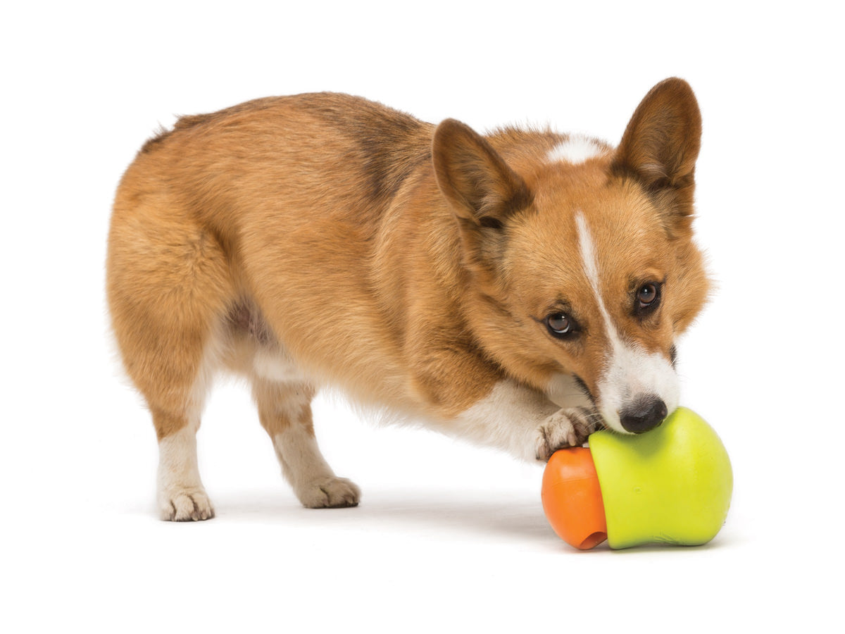 Toppl Treat Dispensing Puzzle Toy For Small Dogs