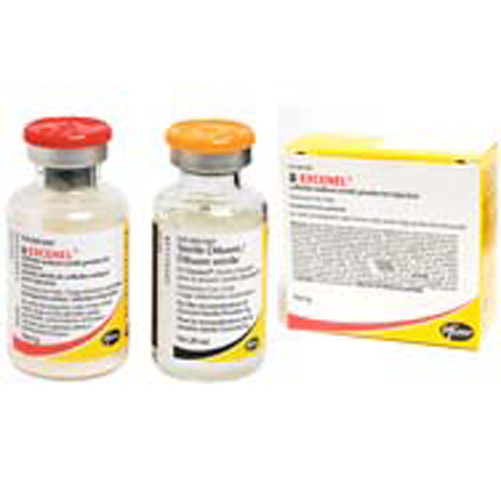 Excenel (ceftiofur) 50 mg/mL Powder for Injection (with diluent)
