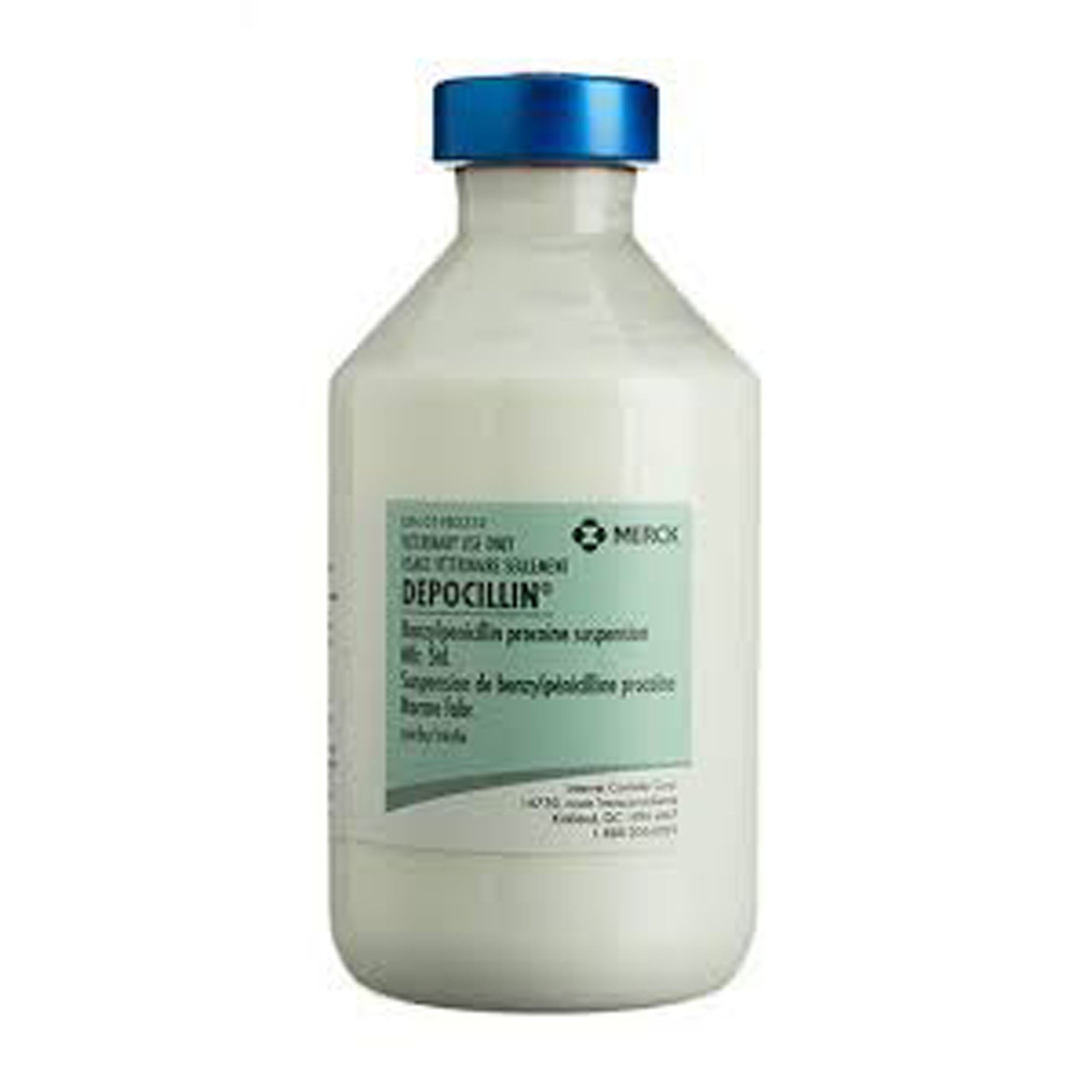 Depocillin Injection - 100 mL