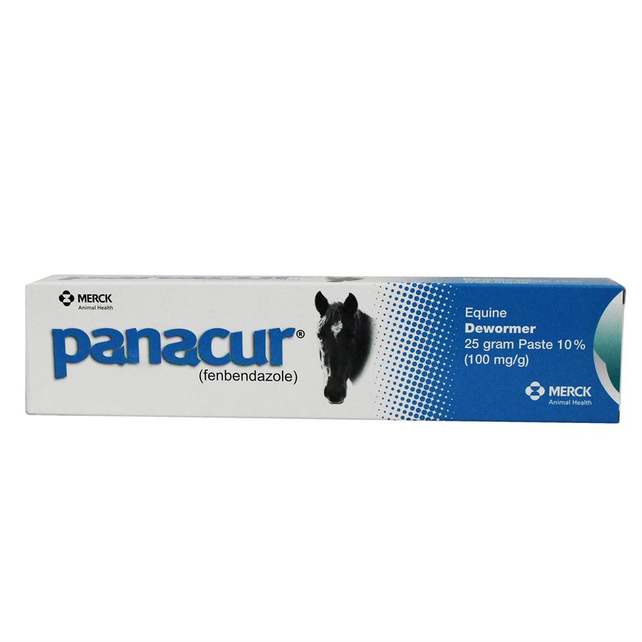 Panacur (fenbendazole) Paste Syringe 10%