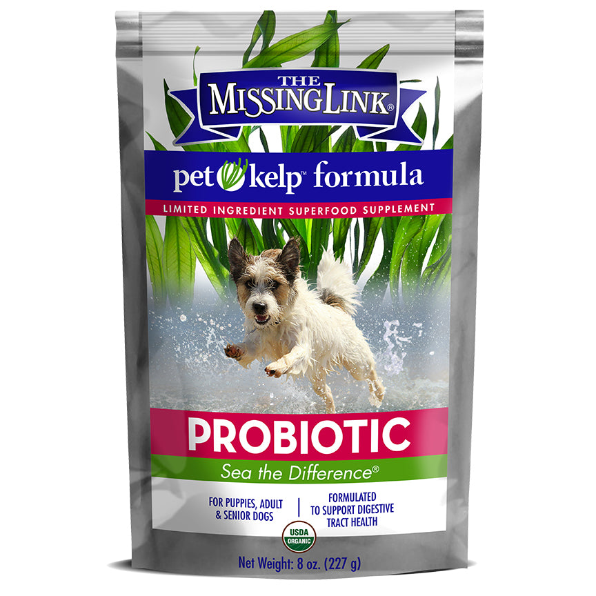 Pet Kelp Probiotic Blend Supplement For Dogs - %Single%