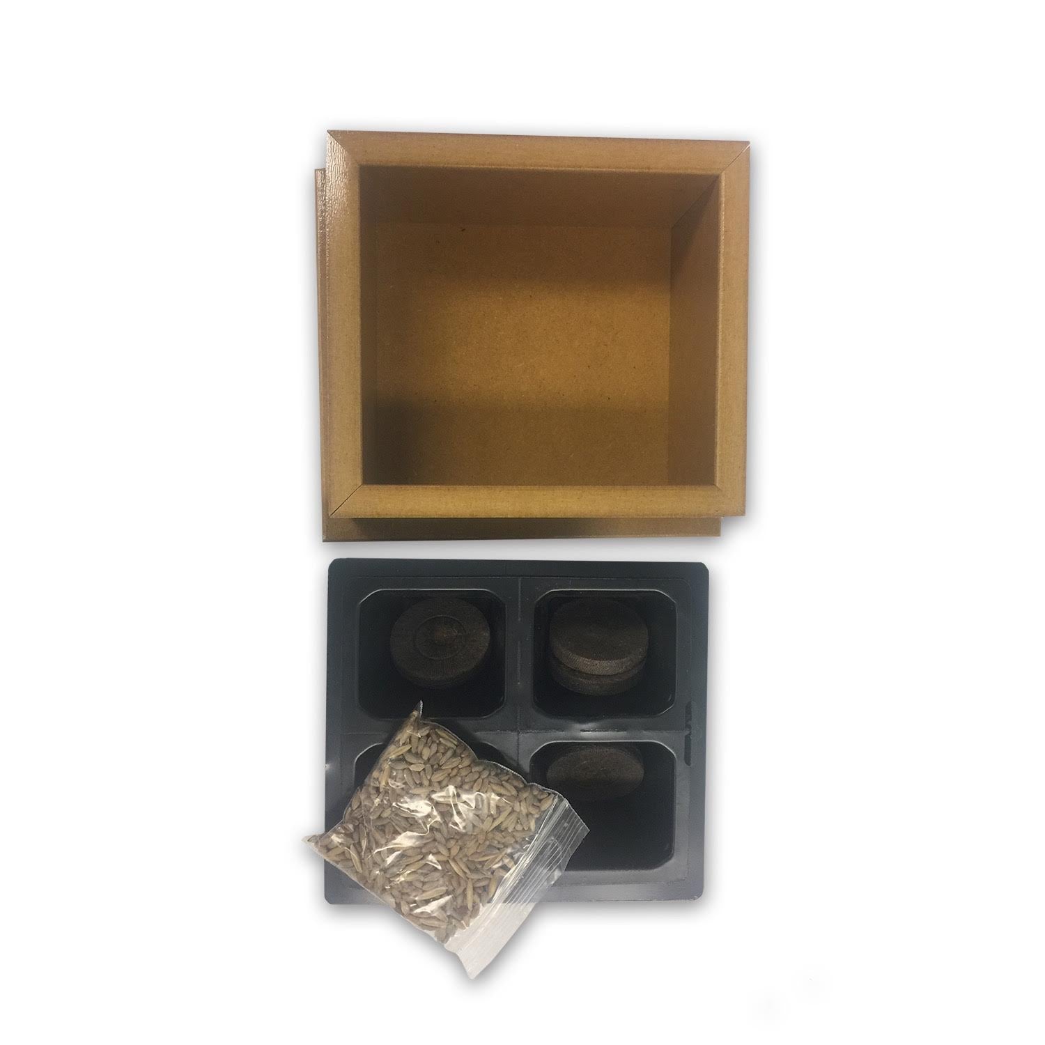 SmartCat Kitty's Garden Edible Grass Planter