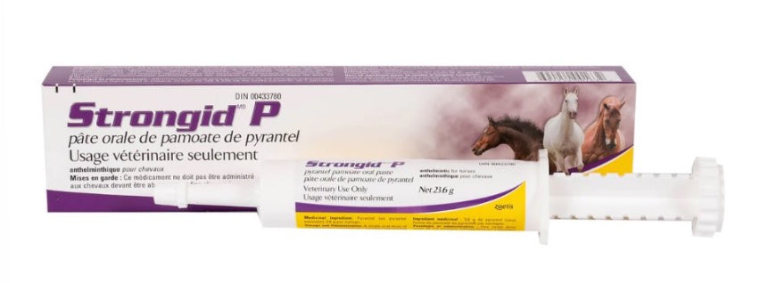Stongid P Dewormer Oral Paste Syringe - 1 Pack