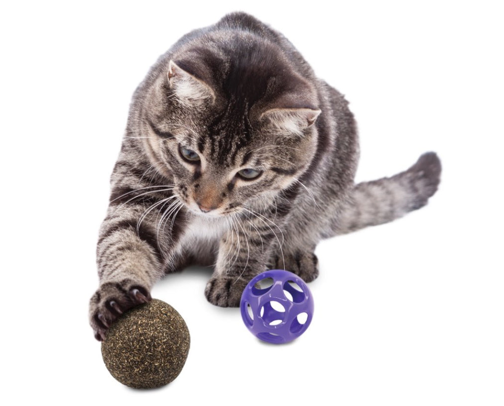 Blissy Moon Ball With Catnip Cat Toy