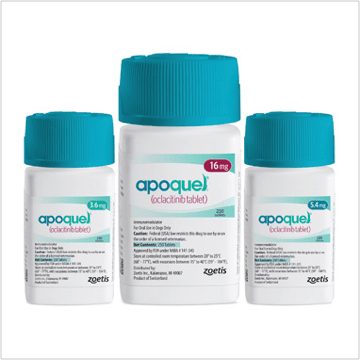 Apoquel (oclacitinib) CHEWABLE Tablet