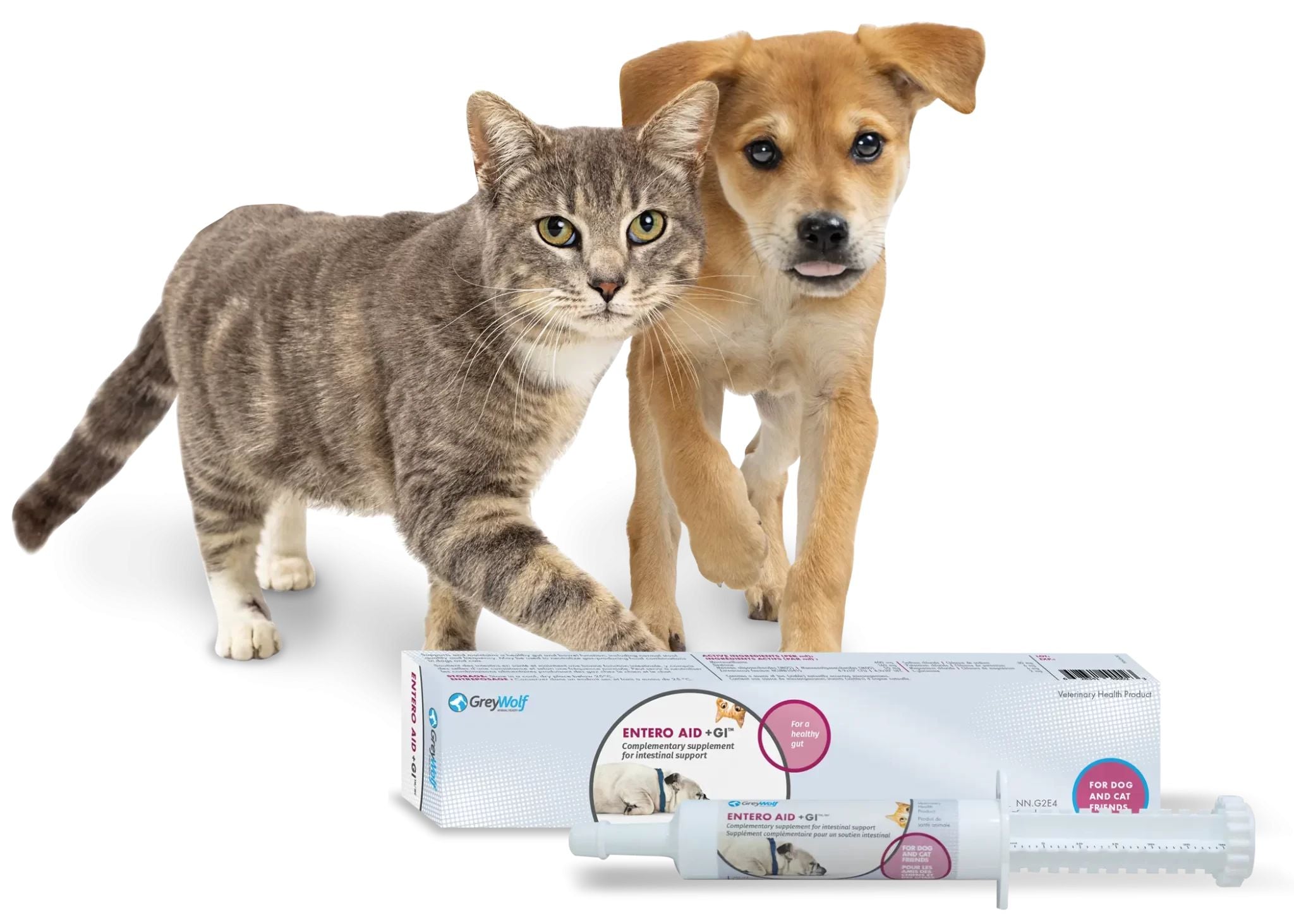 Entero Aid + GI Supplement Syringe