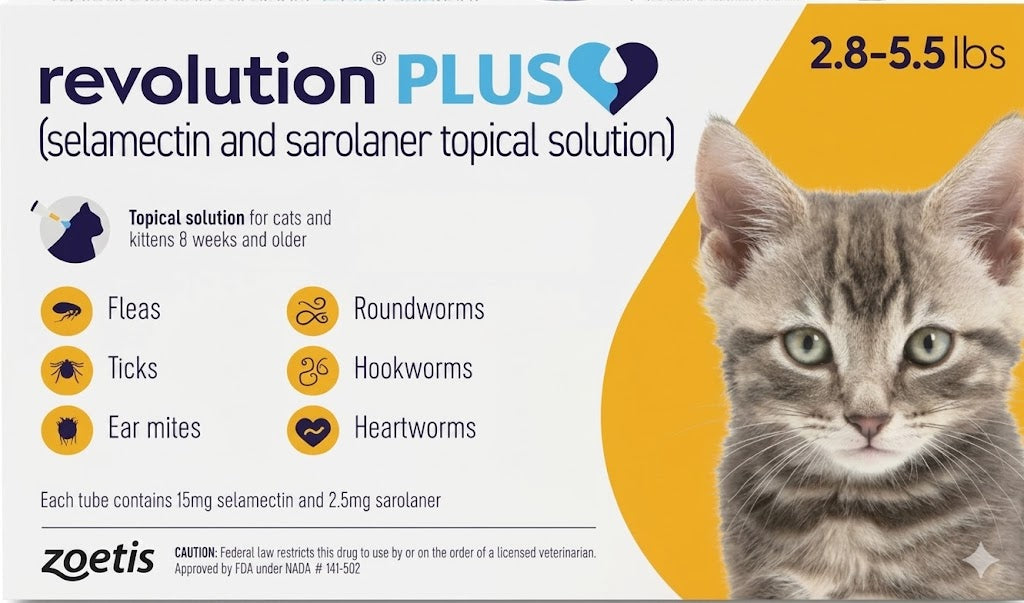 Revolution Plus (selamectin et sarolaner) Pour les chats et les chatons 1,3 à 2,5 kg (Or)