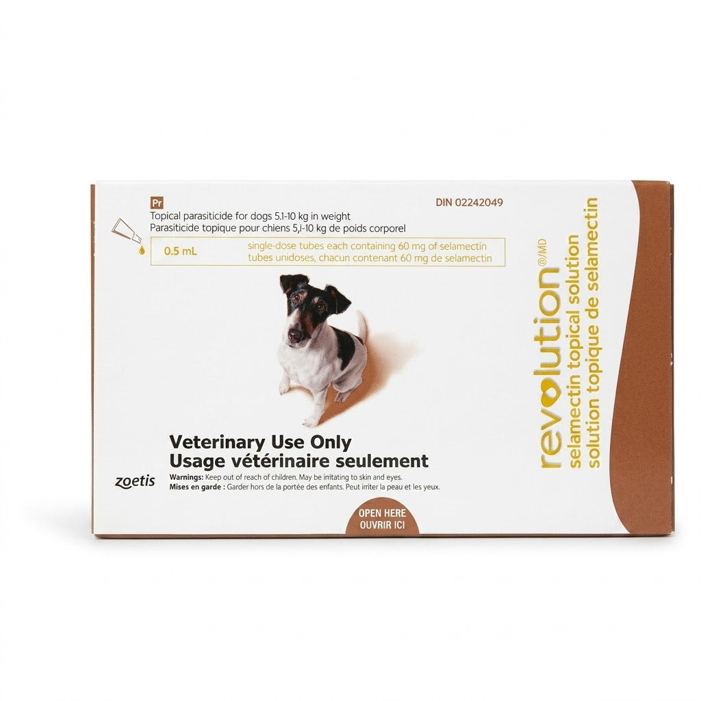 Solution topique Revolution (selamectin) pour chiens