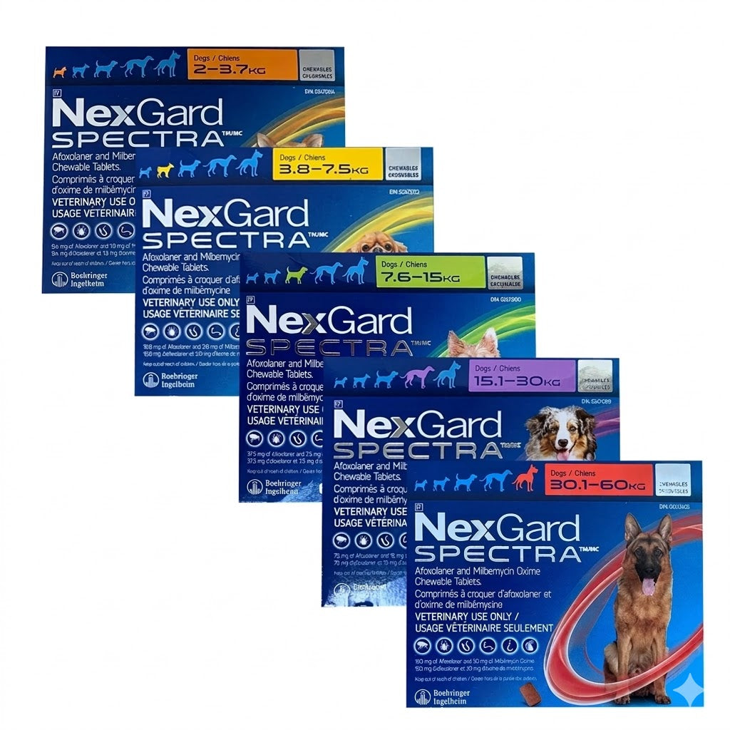 NexGard Spectra Comprimé à croquer pour chiens de 15,1 à 30 kg (Violet)