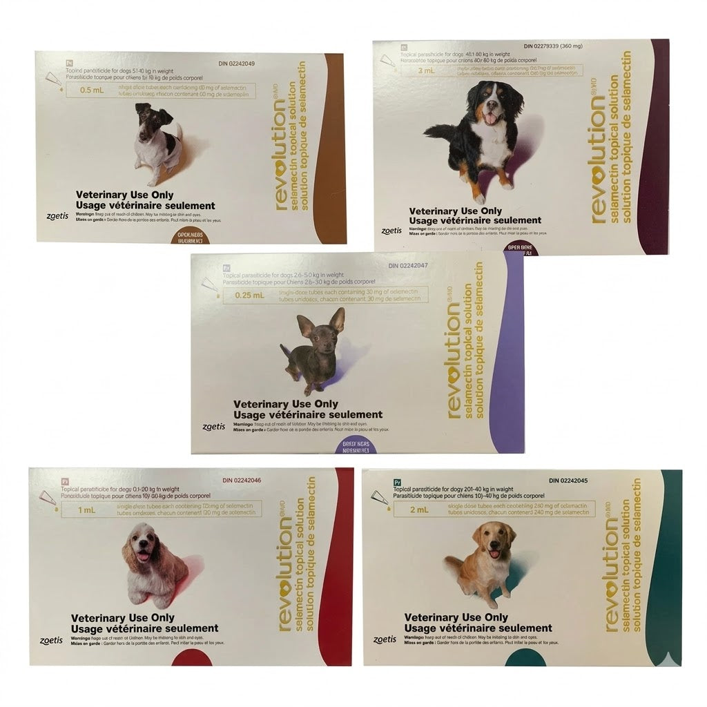 Revolution (selamectin) Topical Solution For Dogs