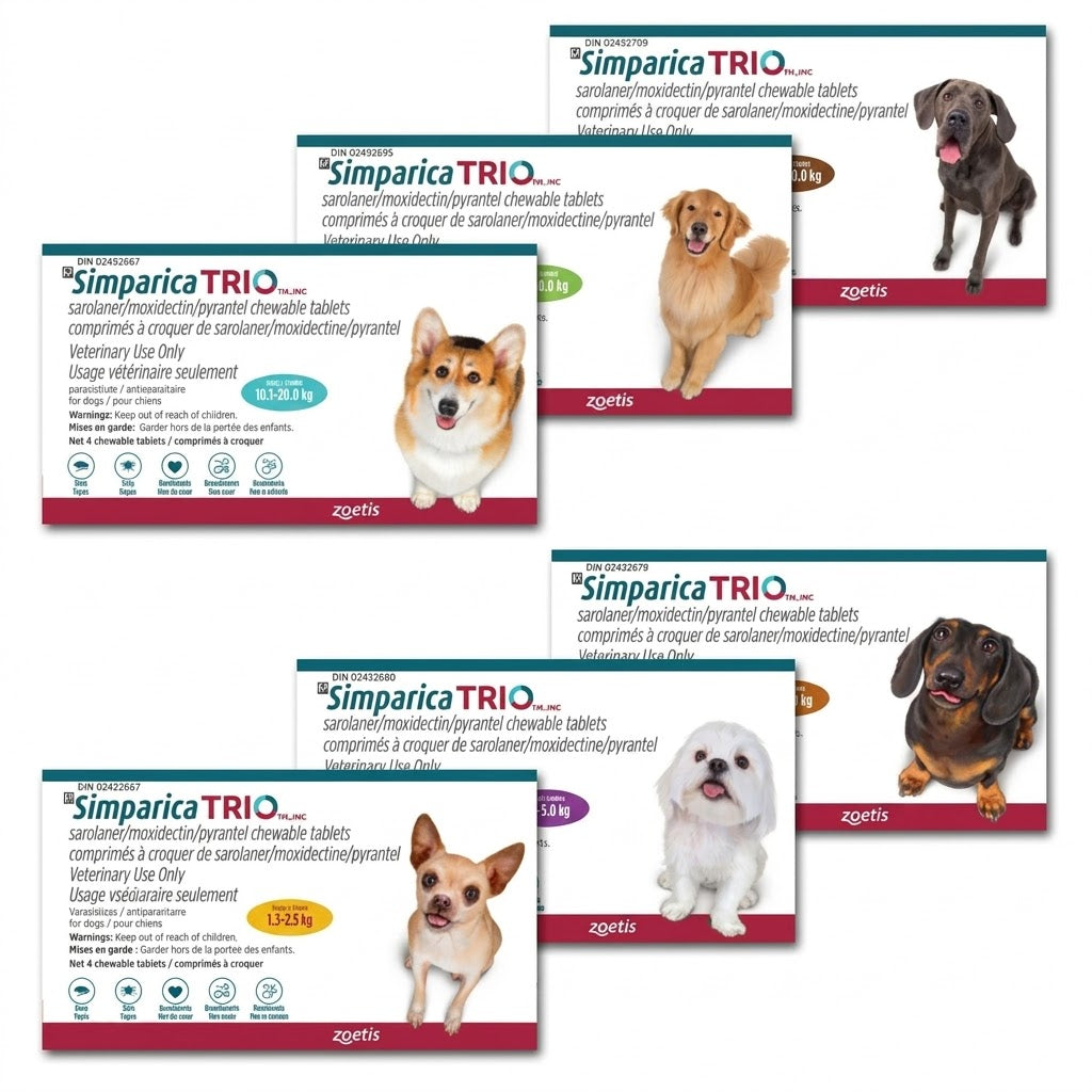 Comprimés à croquer Simparica TRIO pour chiens de 20,1 à 40 kg (Vert)