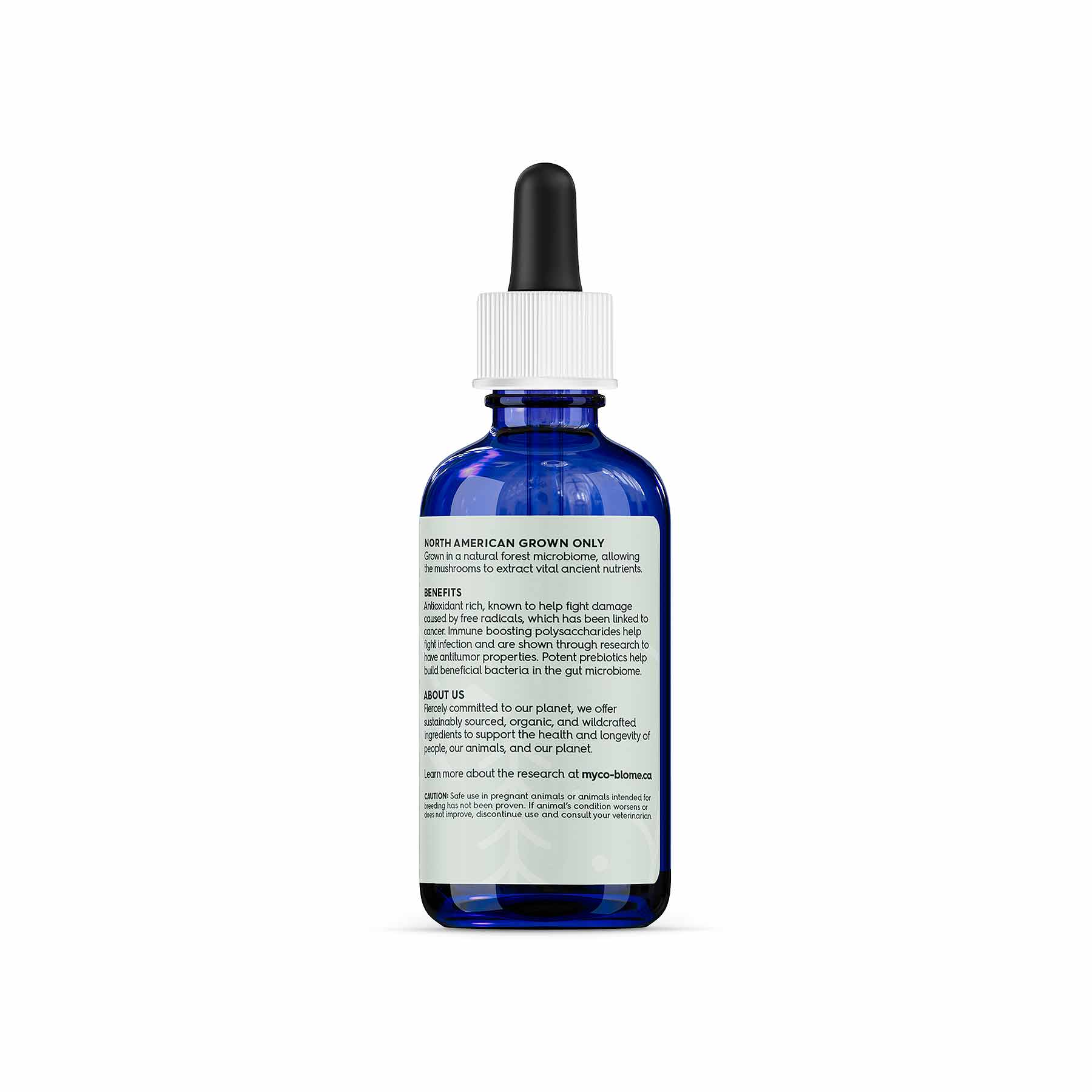 Adored Beast Turkey Tail Mushrooms Liquid Extract