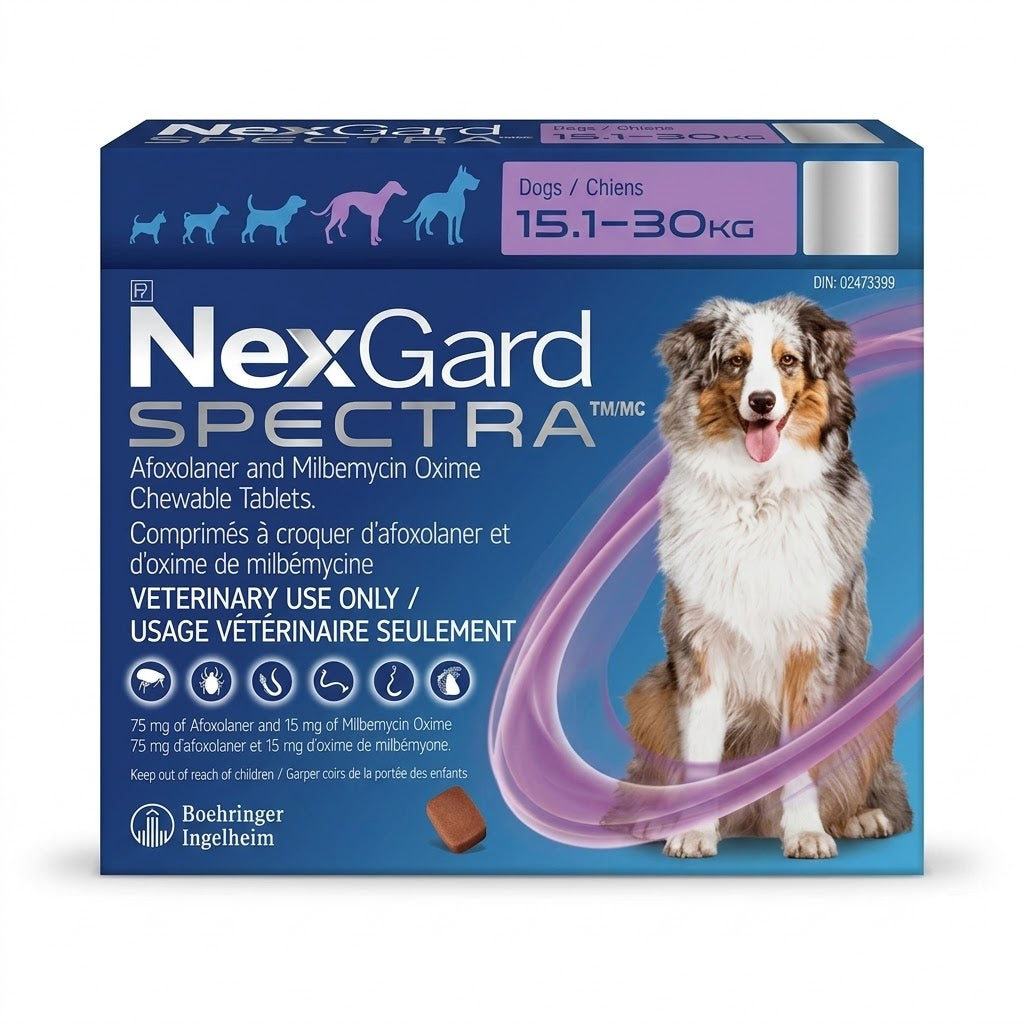 NexGard Spectra Comprimé à croquer pour chiens de 15,1 à 30 kg (Violet)