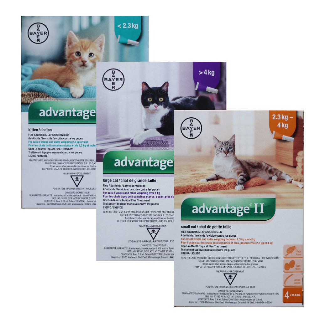 Advantage II Flea Protection For Cats Over 4 Kg (Purple) - Pets Drug Mart