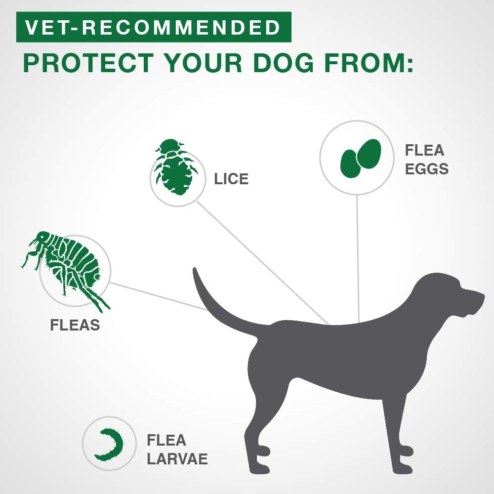 Advantage II Flea Treatment For Dogs 4.5 Kg & Under (Green) - Pets Drug Mart