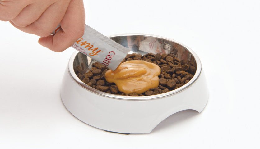 Catit Creamy Lickable Cat Treats Salmon - Pets Drug Mart