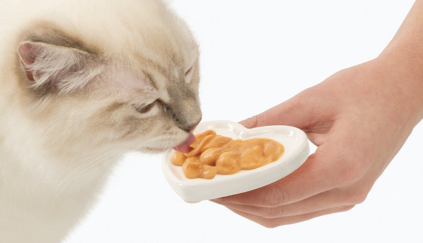 Catit Creamy Lickable Cat Treats Salmon - Pets Drug Mart