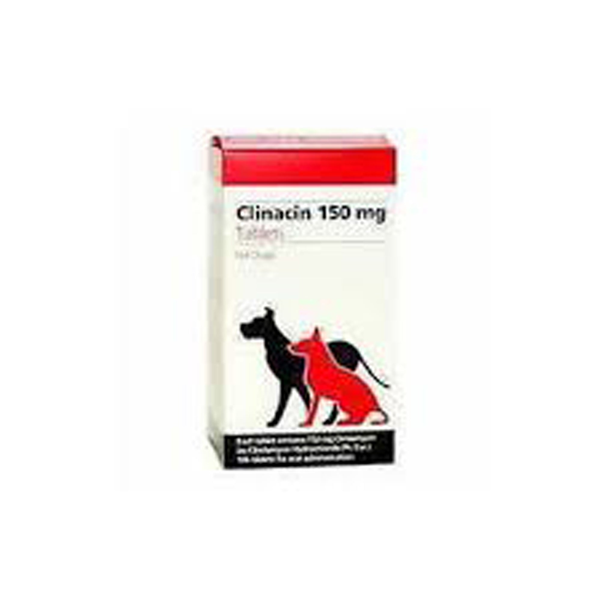 Clinacin (clindamycin) Tablet - Pets Drug Mart
