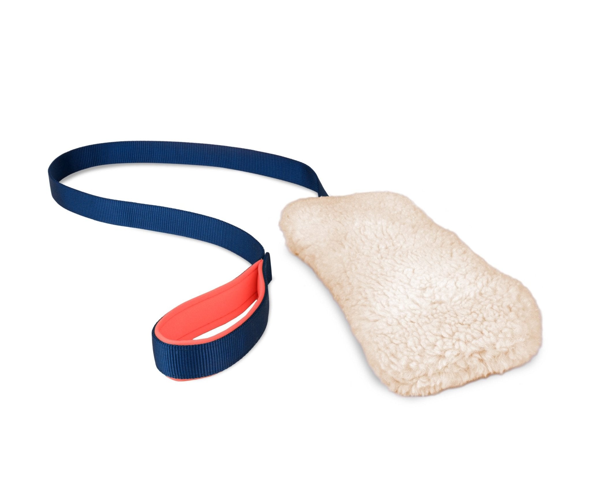 Coachi Chase & Crinkle Toy - Pets Drug Mart