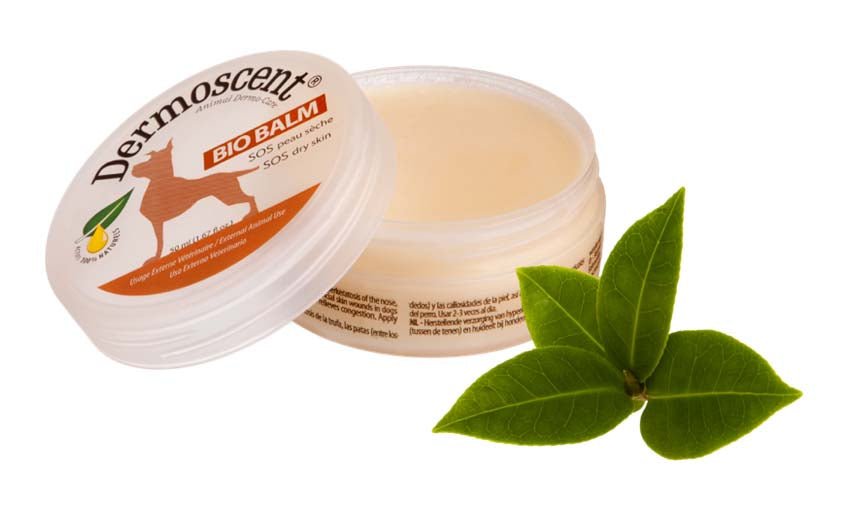 Dermoscent Bio Balm SOS Care For Dry Skin - Pets Drug Mart