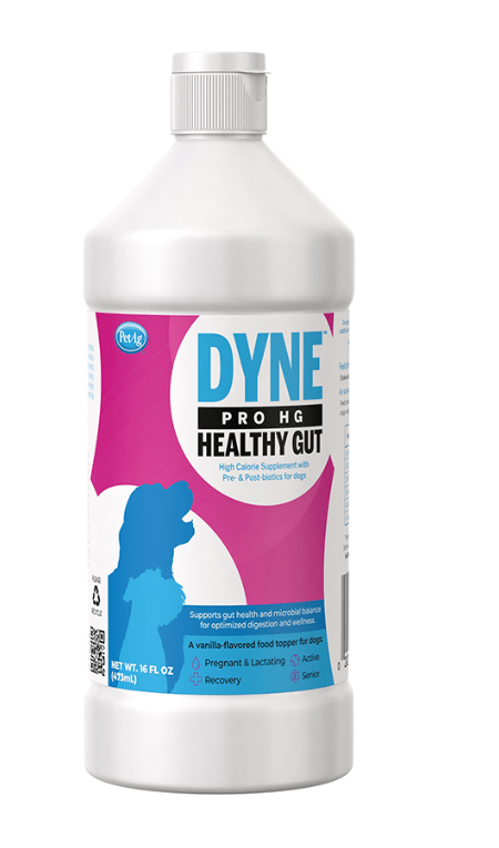 Dyne PRO HG Health Gut High Calorie Supplement for Dogs - Pets Drug Mart
