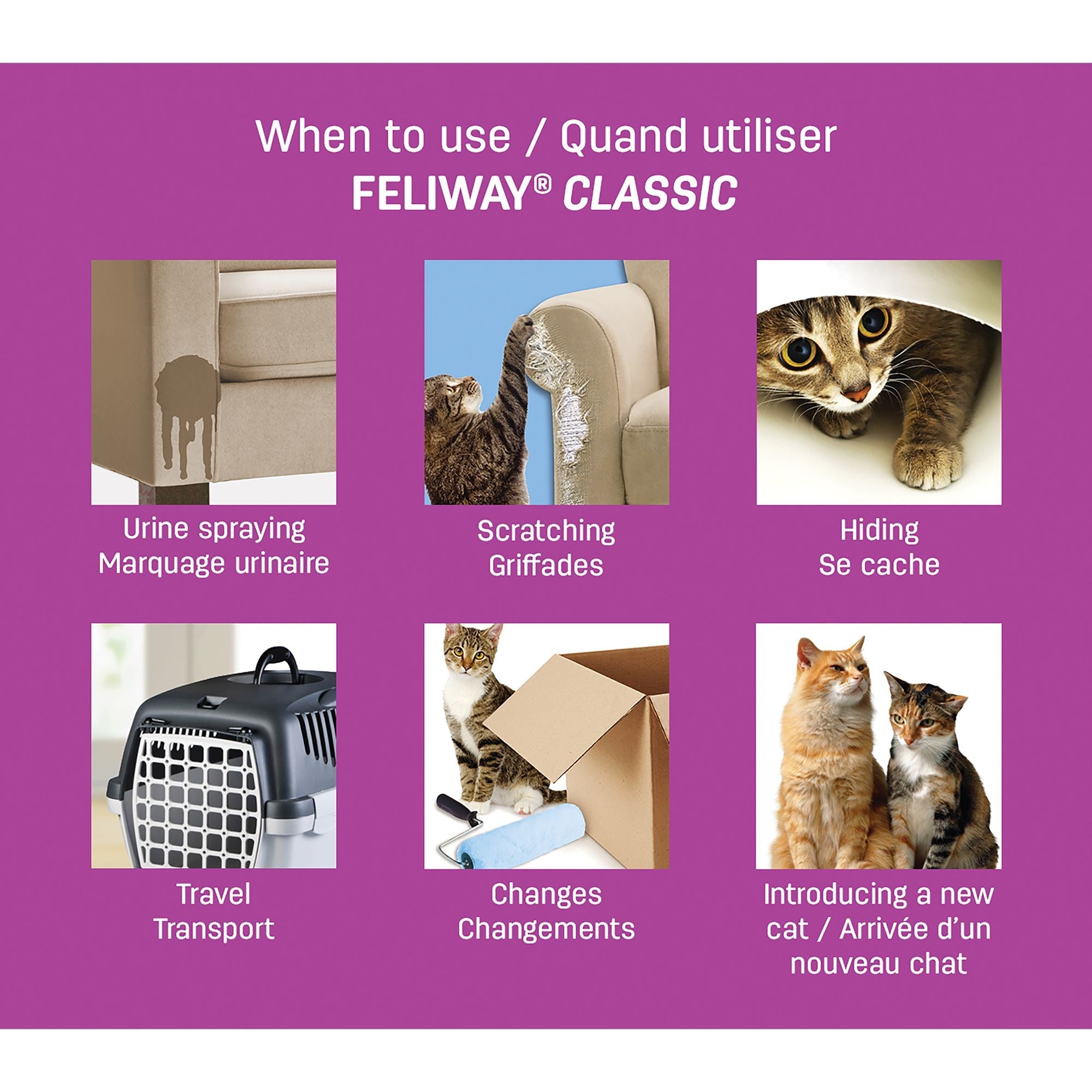 Feliway Classic Calming Diffuser Refill For Cats - Pets Drug Mart