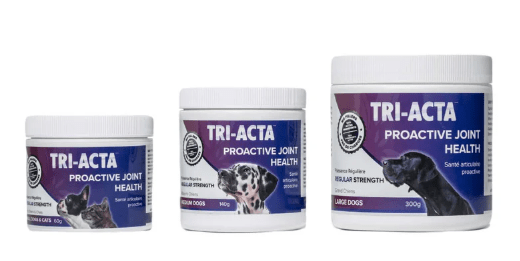 Integricare Tri - Acta Joint Health & Mobility Supplement Regular Strength for Dogs & Cats - Pets Drug Mart