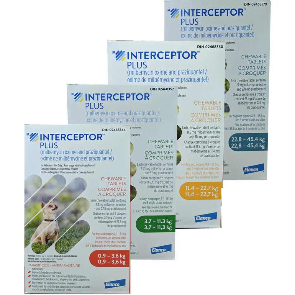 Interceptor Plus Flavoured Tablet For Dogs 22.8 To 45.4 Kg (Blue) - Pets Drug Mart