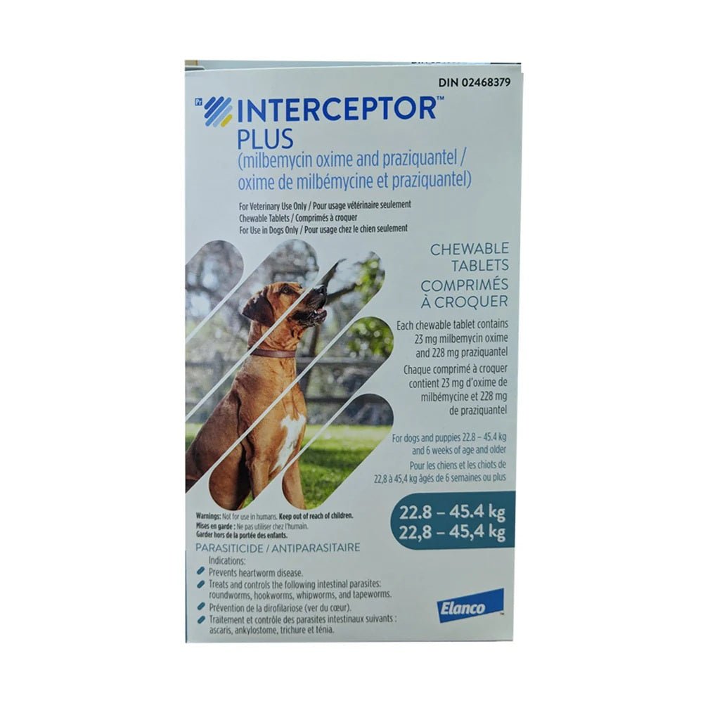 Interceptor Plus Flavoured Tablet For Dogs 22.8 To 45.4 Kg (Blue) - Pets Drug Mart